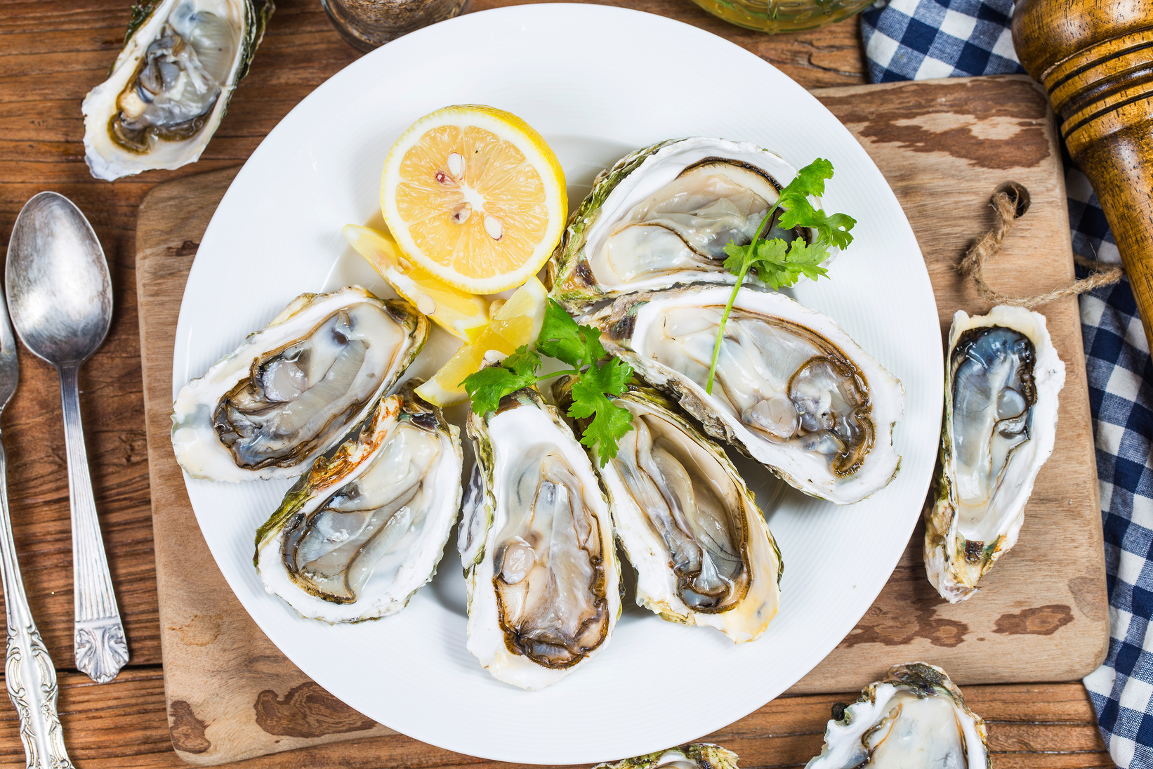 Roast oysters plate