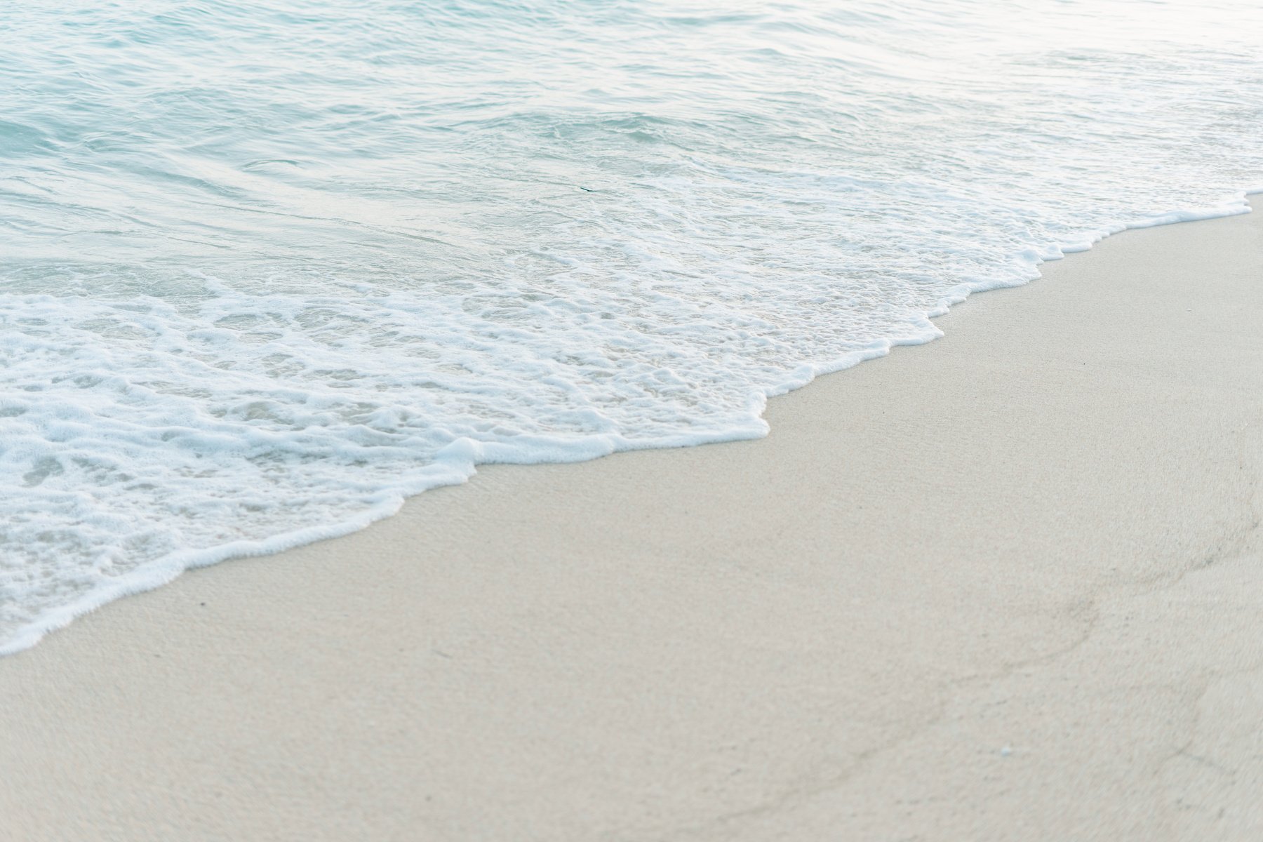 Foamy Tide by the Shore